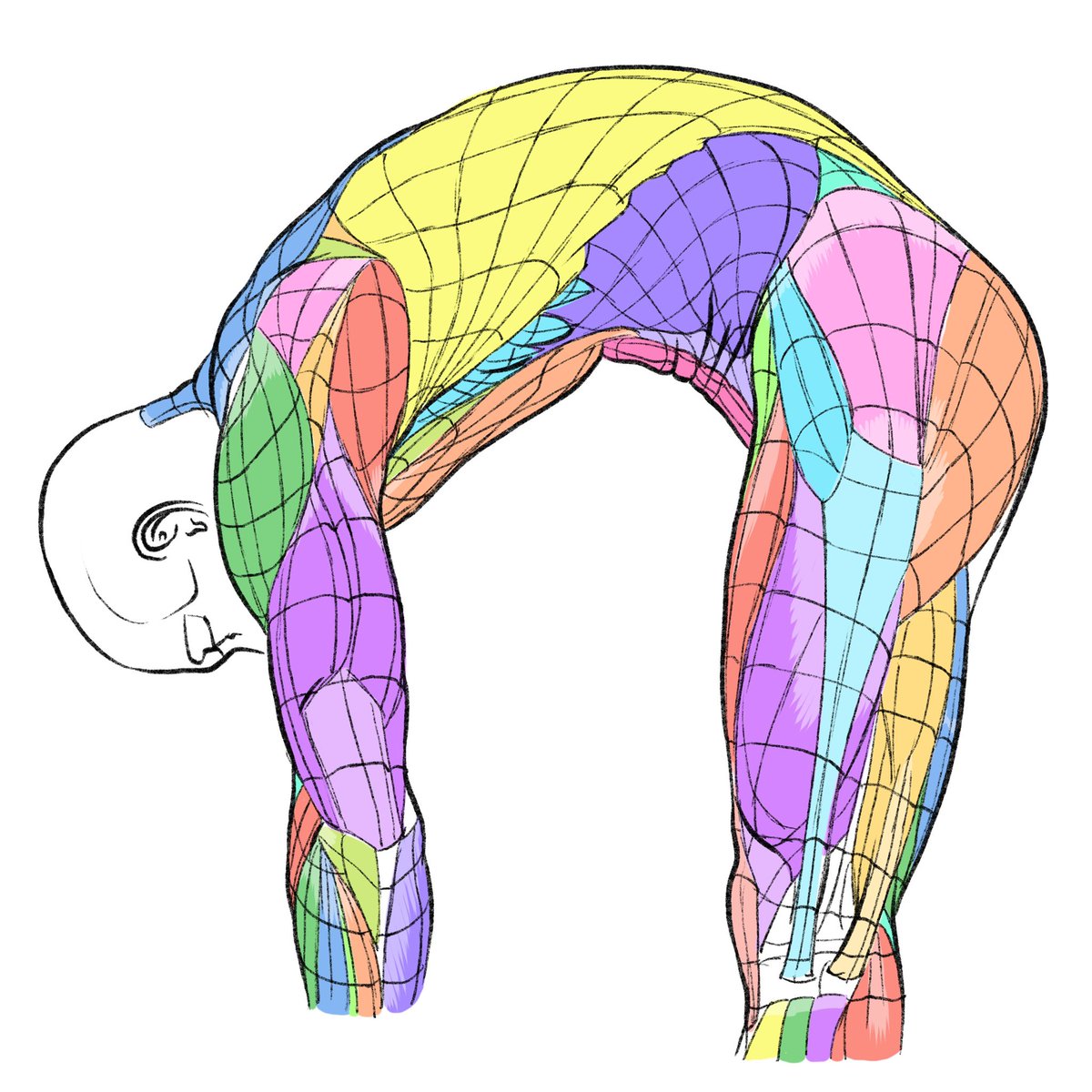伊豆の美術解剖学者 tweet media