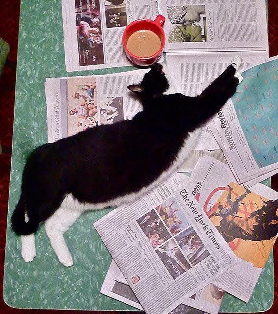 Lord of Leisure (@lavitalenta) on Twitter photo 