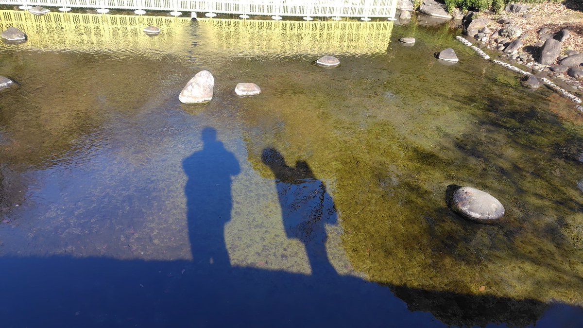 KAITOの誕生日と同時に
今日はべるバンビ6回目の結婚記念日でございます！！

嫁様にはいつも助けてもらってるので、感謝しかないです！！

いつもありがとう！！
嫁様！！