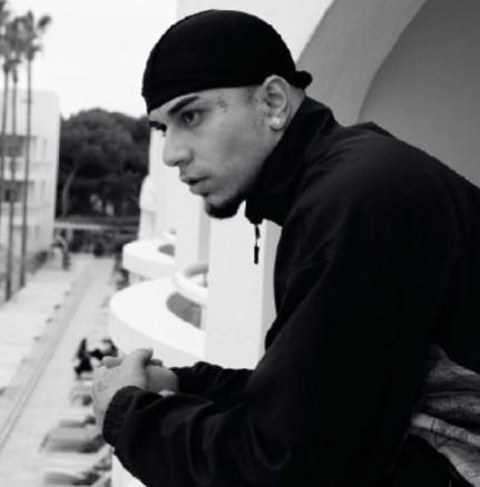 katy 🐅 tweet media