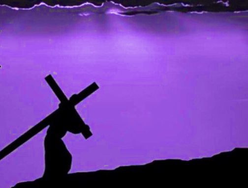 Mostly Calm Mrs. Struven 💜 tweet media