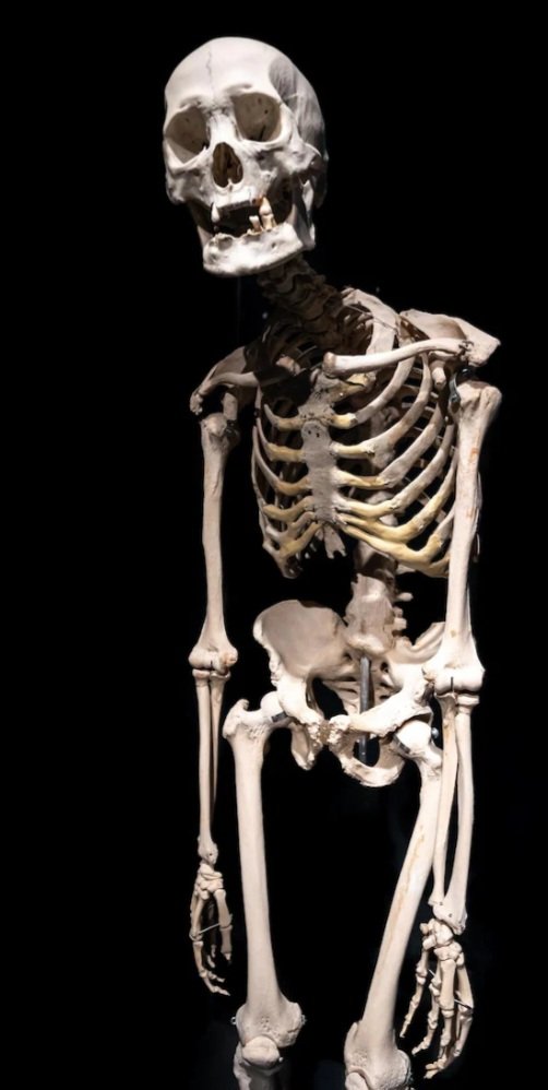 Andrey Champion tweet media