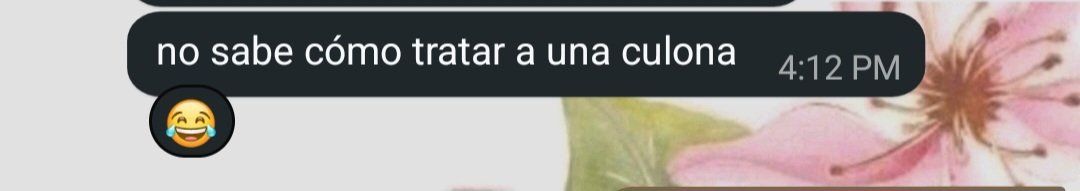 nunca ha estado cerca de una baddie 💋