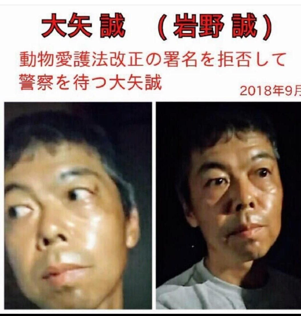 ainam0721's tweet photo. @ShinjukuSokai 岩野誠を名乗り、譲渡会に顔出してるそうです。岩野和子（嫁）も警戒されてます。
こいつらは埼玉住みなので、関東エリアの譲渡会は警戒してください。猫を絶対に渡さないでください。 https://t.co/kWJ2Qf79zS