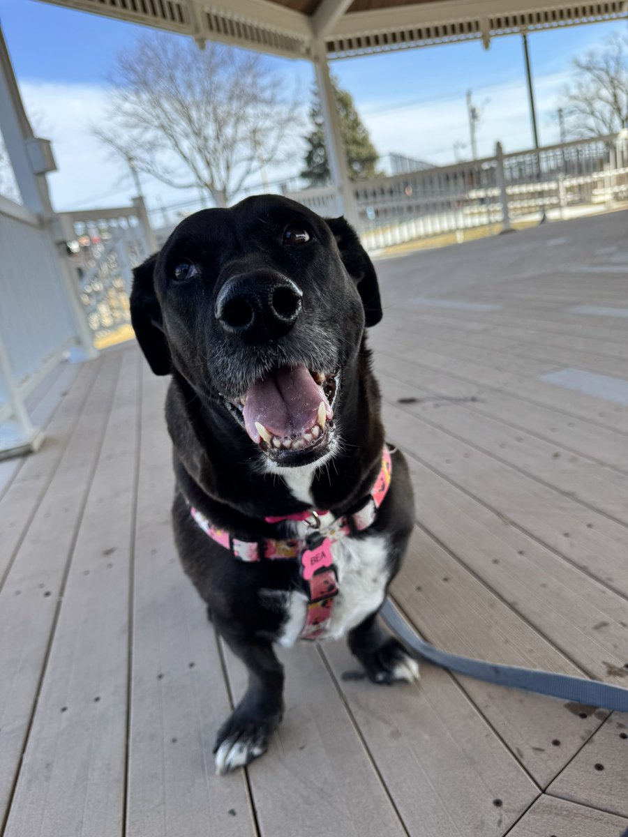 sensiblexheart's tweet photo. it was 64 degrees today 🥹 https://t.co/QK5h8QxPZl