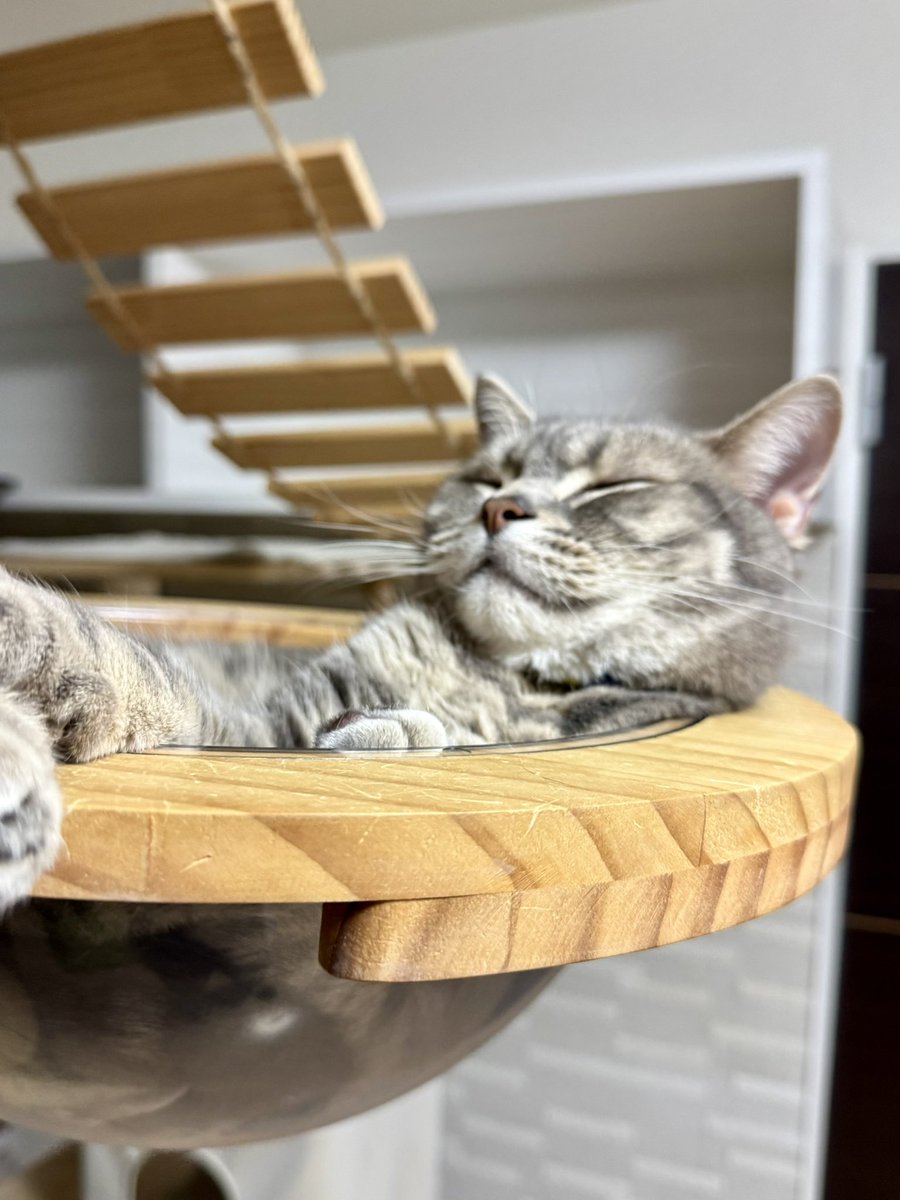 天空の寝床は天国