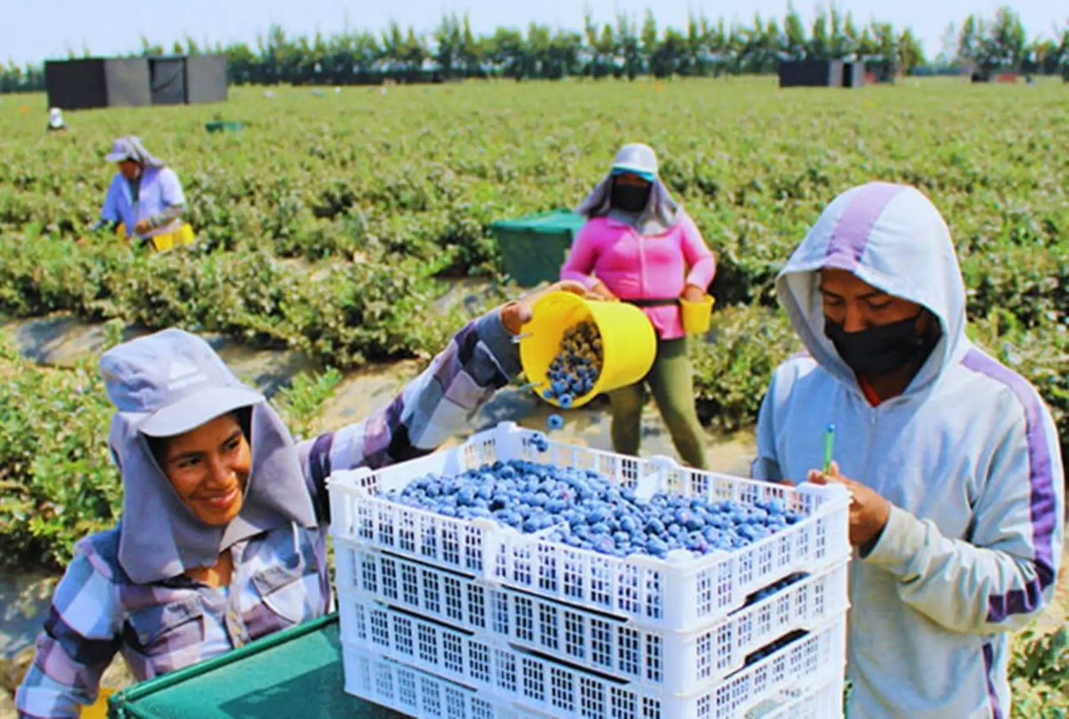 Agencia Andina tweet media