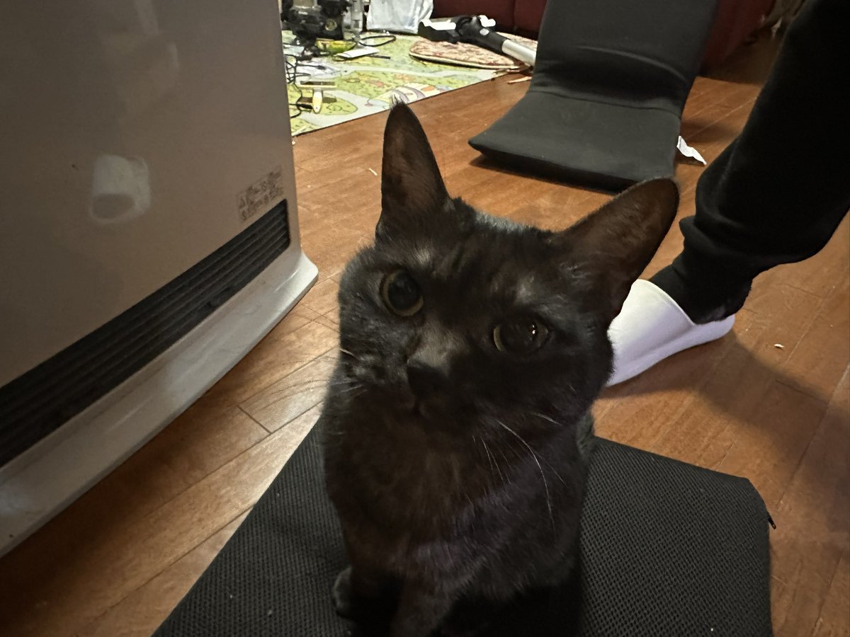 おあおうおざいやす