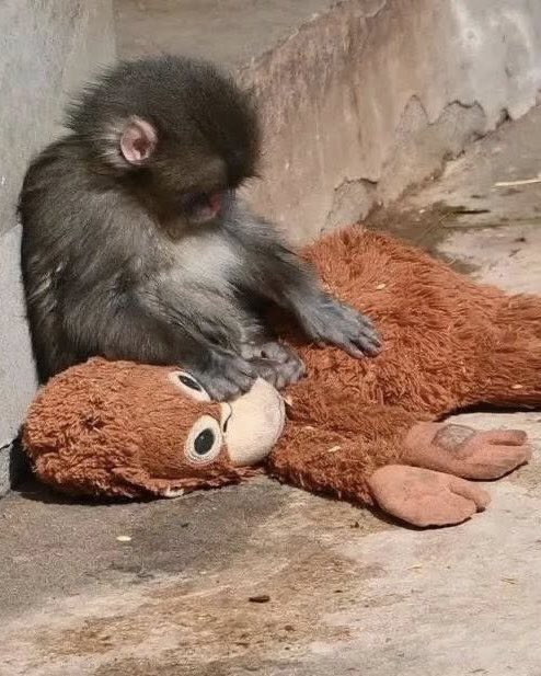 he didn’t ask me to be his president for presidents’ day 🫩