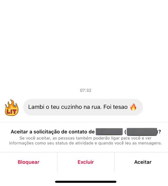 a mensagem que eu recebi pós bloco da marina sena (eu nem lembro disso pqp)