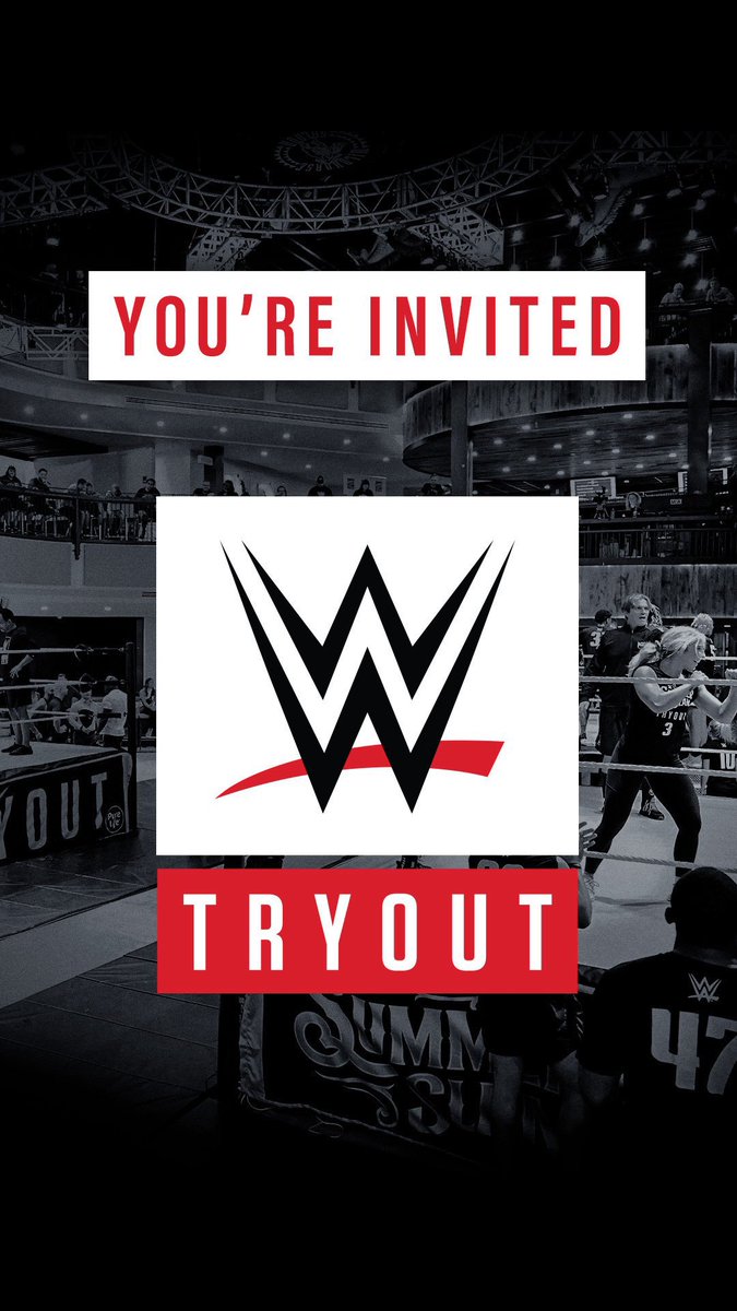 Robert Stone tweet media