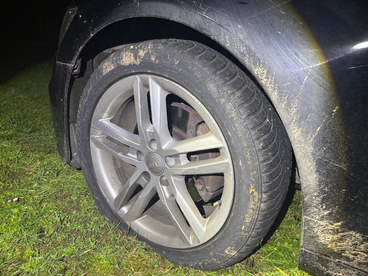 Staffs Dogs & ARV tweet media