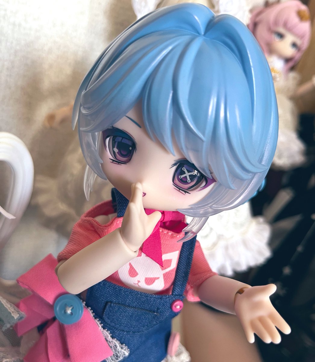 しろしま (@siro_shima) on Twitter photo 