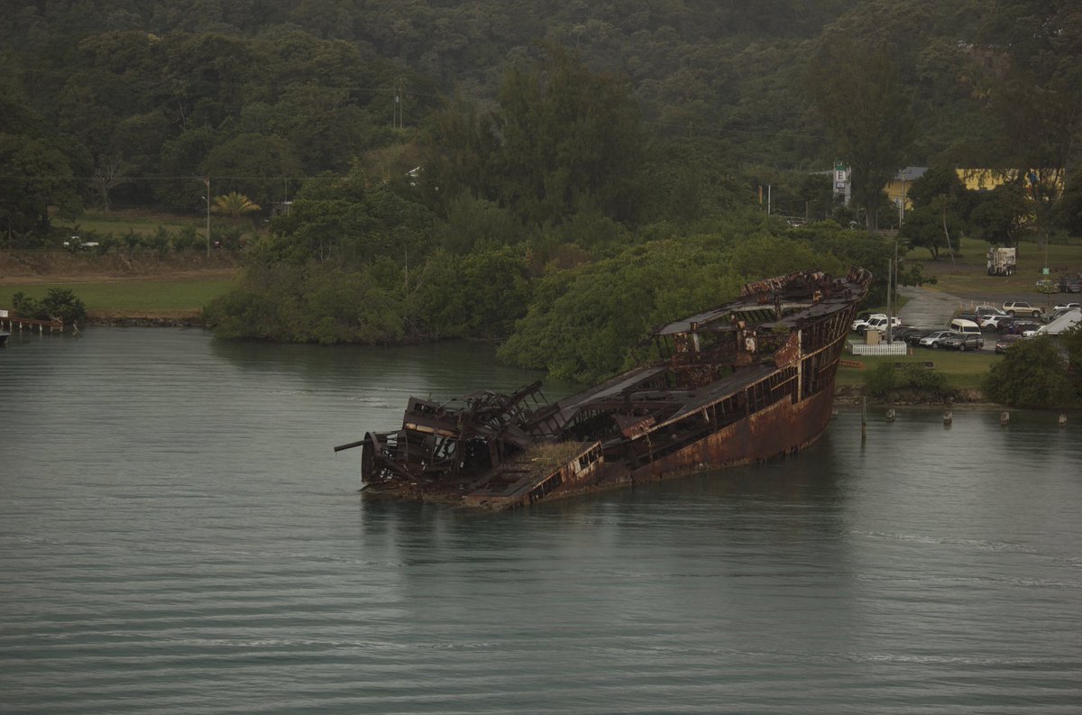 reid 𐂯 tweet media