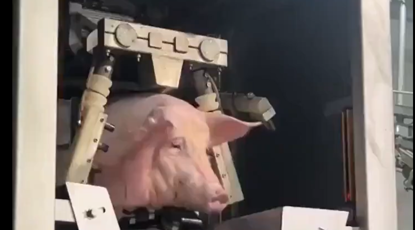 Javier EM tweet media