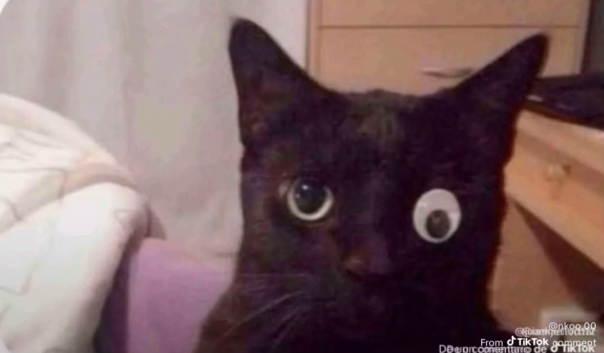 กุตอนดูคุณบีชุดกี่เพ้าเมื่อวาน