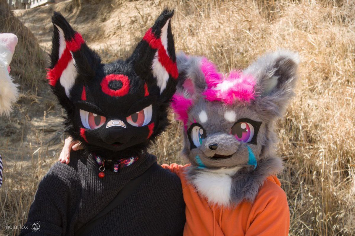 SnoweyFoxy |-/ 🔜Aurawa’26 tweet media