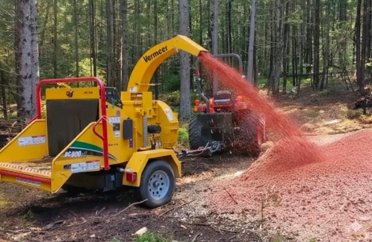 ☪بليزي [Bleezy] tweet media