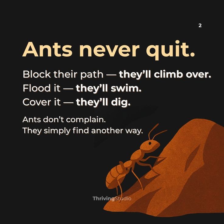 Deep philosophy (@deepphilo_hq) on Twitter photo 