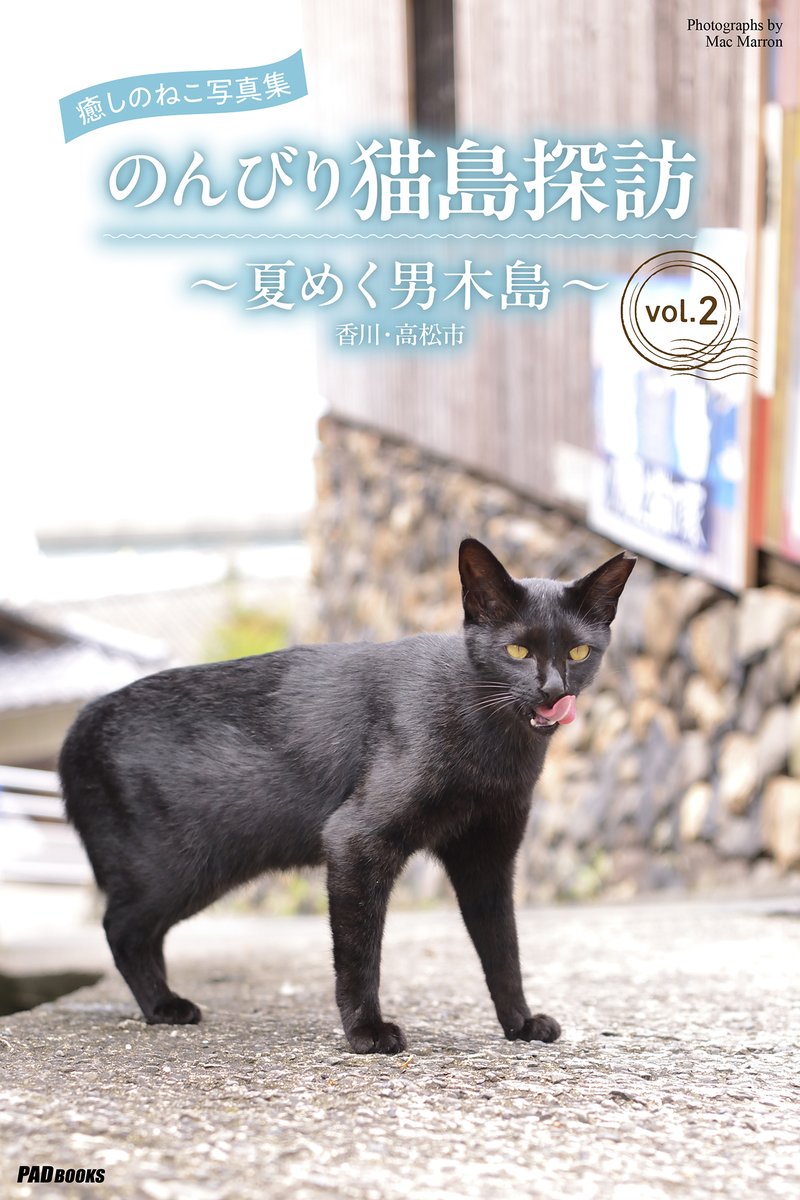PAD_editorial's tweet photo. にゃんこ編集部便り🐱

癒しのねこ写真集「のんびり猫島探訪」シリーズ🐈

夏めく男木島vol.1とvol.2が各ストアで好評発売中❣

https://t.co/nwQFJ0mGd9

どうぞ宜しくお願いします👩

#猫写真集 #猫 #保護猫 #猫好きさんと繋がりたい #猫のいる暮らし #猫島 #男木島 #にゃんこ編集部 #MacMarron https://t.co/XLcOQDMYFl