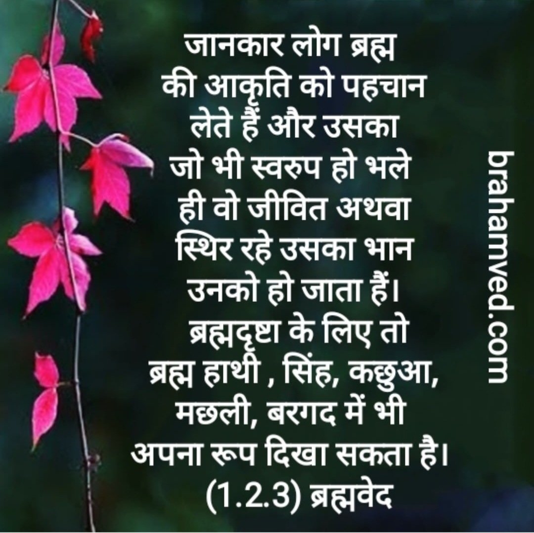 BrahamVed's tweet photo. (1.2.3) ब्रह्मवेद
#brahamved  #suprabhat  #goodmorning  #goodvibes  #tuesdaymotivation  #tuesdayvibes  #motivationtuesday  #motivationalquotes  #thoughtfulquotes  #inspirational  #quoteoftheday  #quotestoinspire https://t.co/sSh0a09cUo