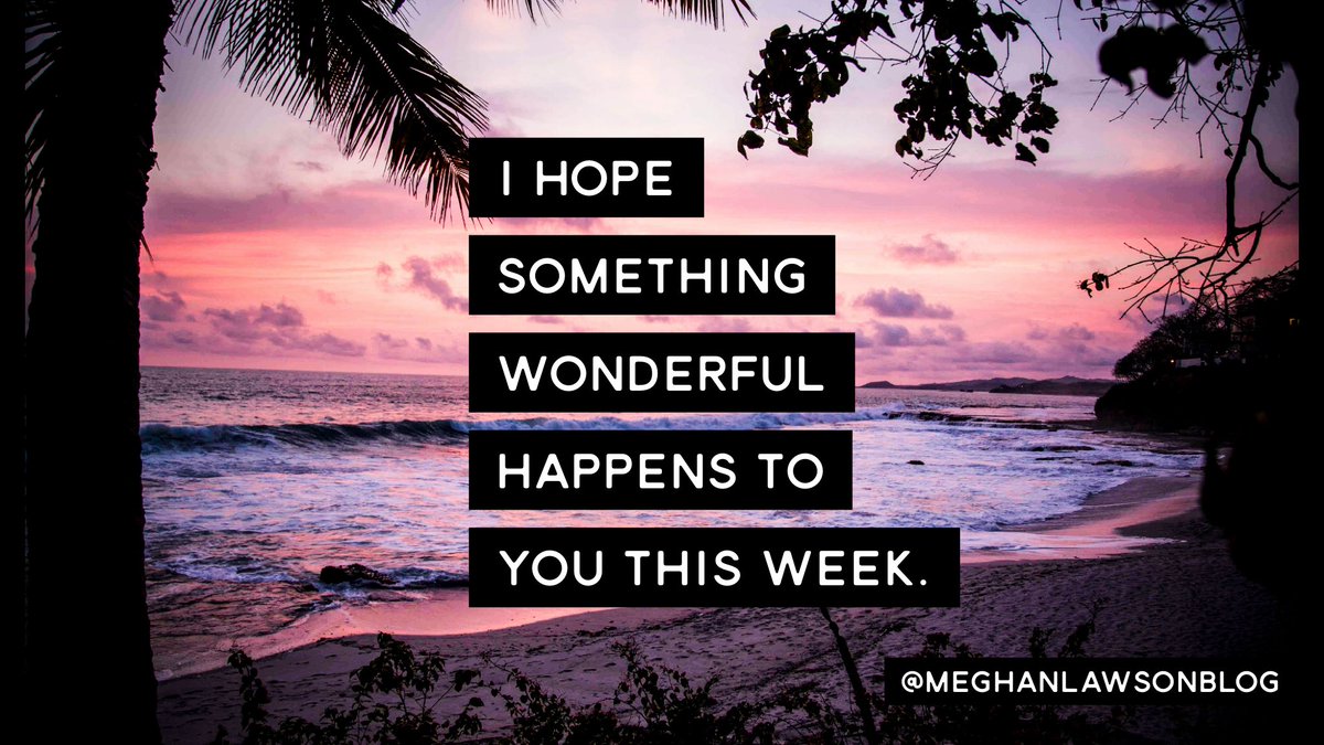 Meghan Lawson tweet media