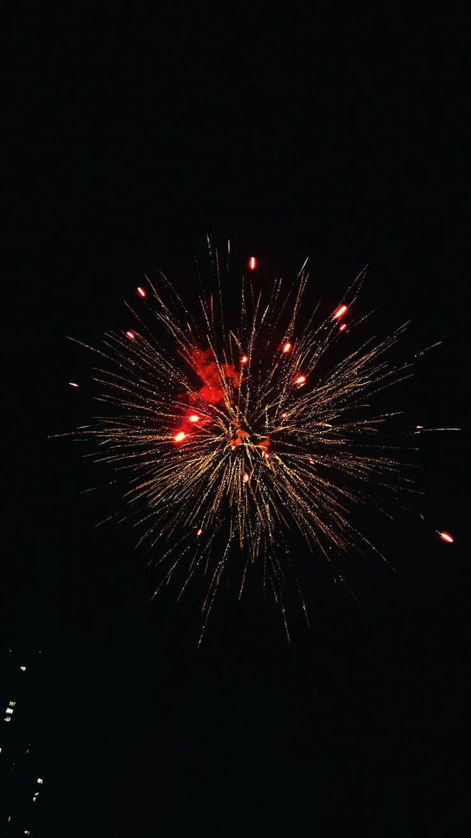 小稻田 (@sakana9717) on Twitter photo 