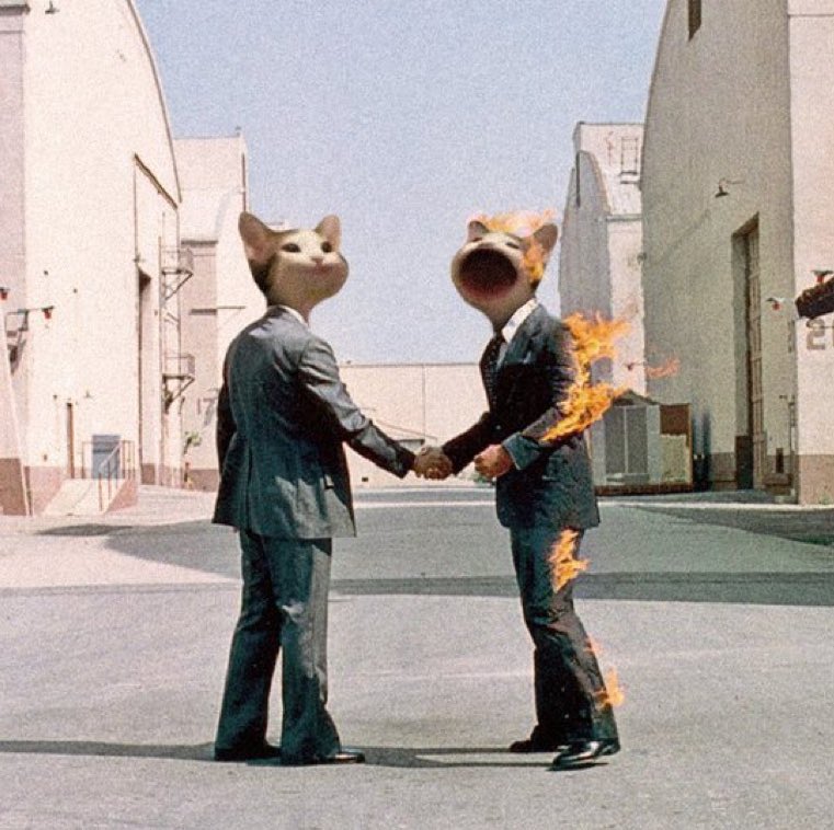 Fu11io's tweet image. from an investing pov, in a phase shift

i believe ai x cats will mainline the world's attention

from a fundamental pov, in 12-18 mos

i believe $POPCAT will become the single greatest hedge against an ai takeover

proof-of-authenticity not seen since early bitcoin x dogecoin..