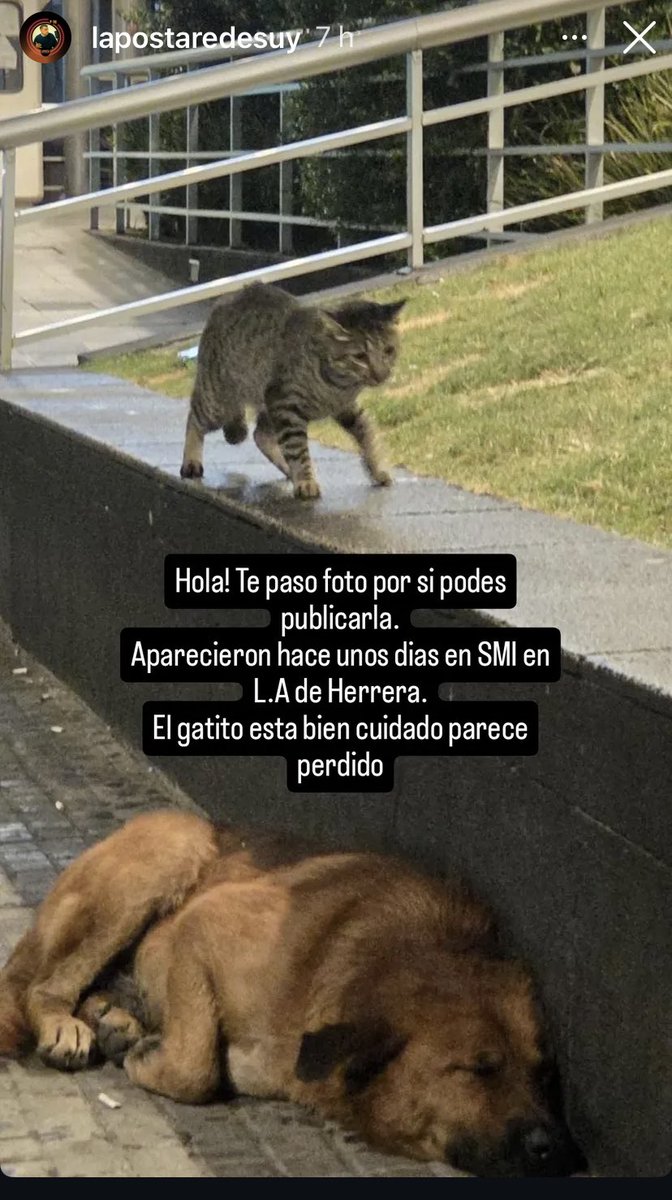 Adriana (@adriana43587622) on Twitter photo 