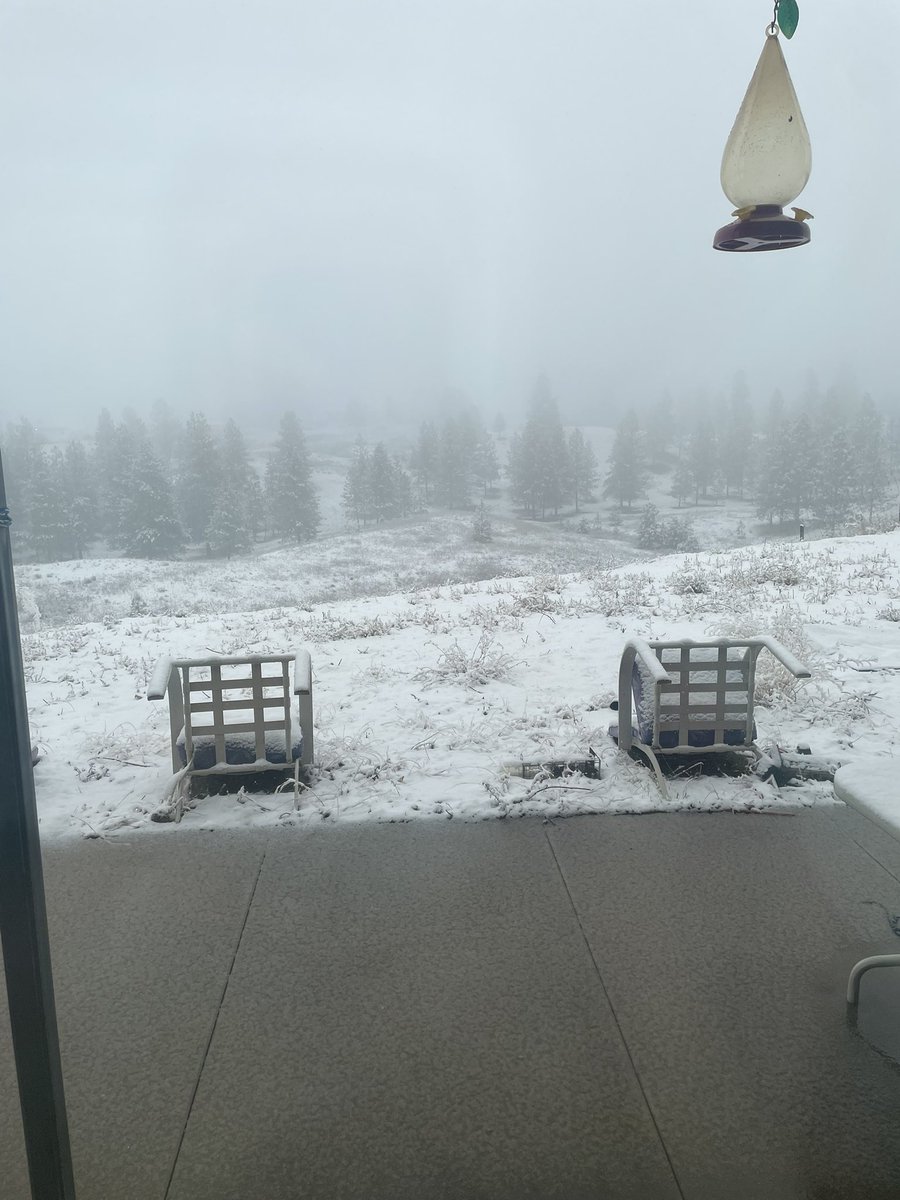 cookieottervt's tweet photo. I dont like it its too much snow https://t.co/DXSrn3GLxl