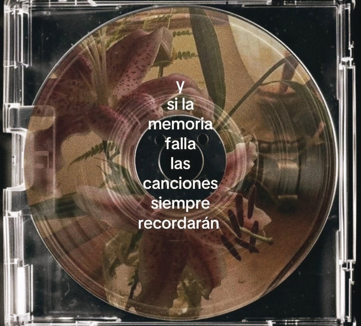 ramé (@escritosrame) on Twitter photo 