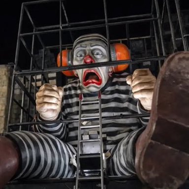 Meio Independente tweet media