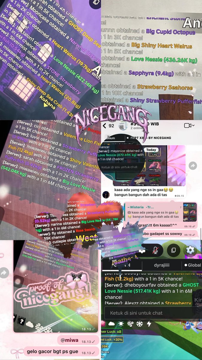 catchie🐳 tweet media