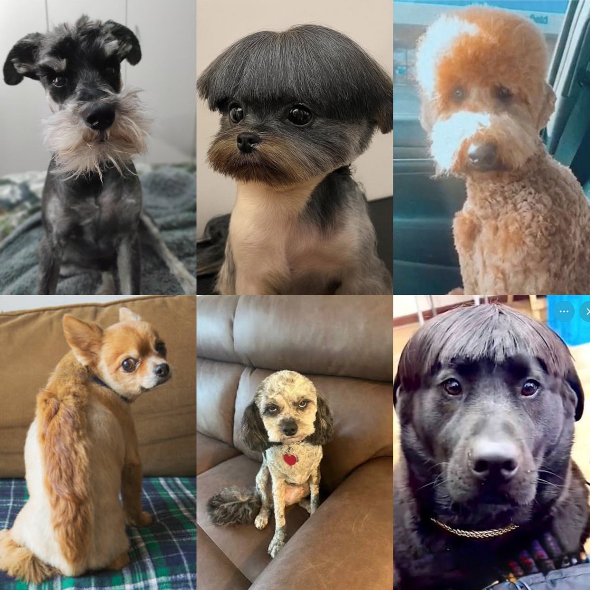 Chris Kidd tweet media