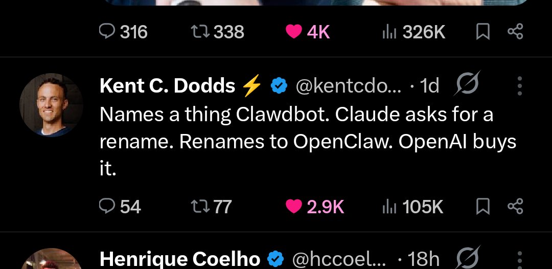 People need to understand that THIS is such a genius way to pitch, and that list included Clawgle and all her siblings.