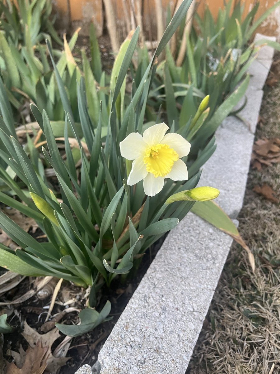 Wert Laboratory tweet media