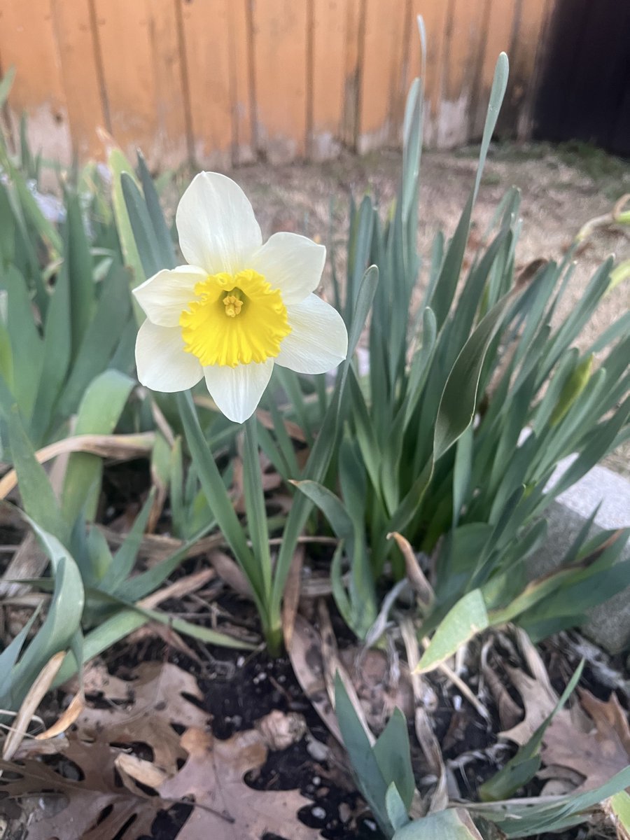 Wert Laboratory tweet media