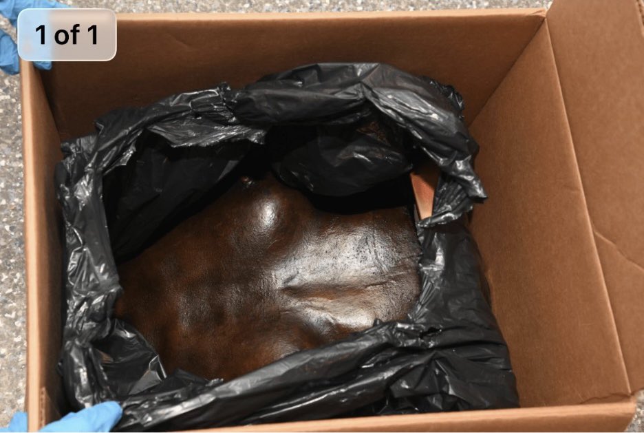 TruthFairy131's tweet photo. Epstein files photo (EFTA00008505).

A mummified female torso 😳 https://t.co/OYWtnXP5vC