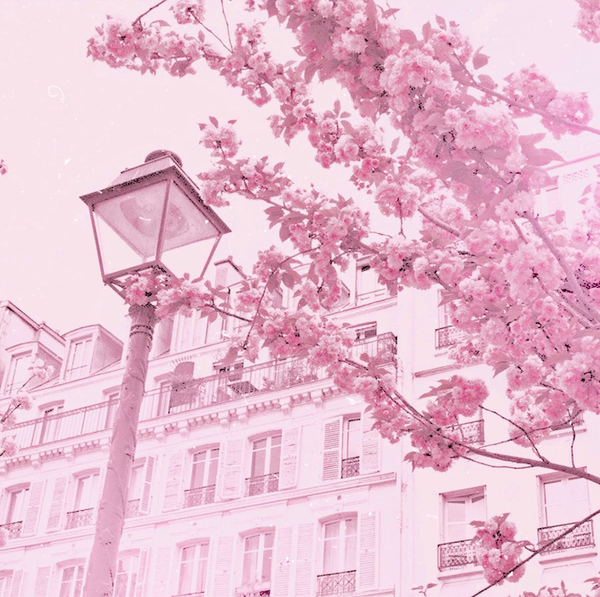 ౨ৎ⋆ ᨦ 𝒶ྀིྀིྀིྀིྀི𝓋𝑒𝓇𝓎 🧸🎀⋆˖🪽 tweet media