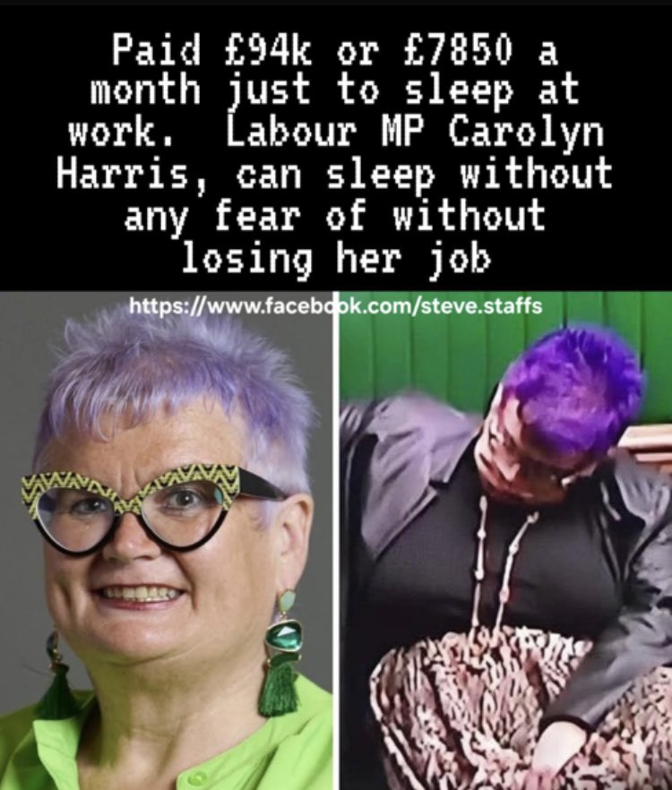 Who in their right mind would vote for this?