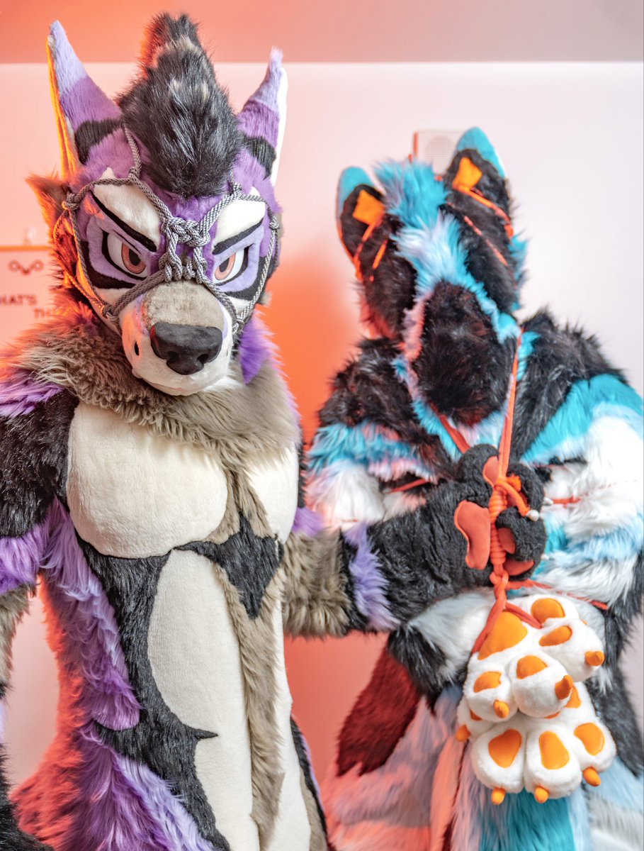 𝘼𝙆𝘼𝙍𝙐 / あかる 🔜 LVFC tweet media