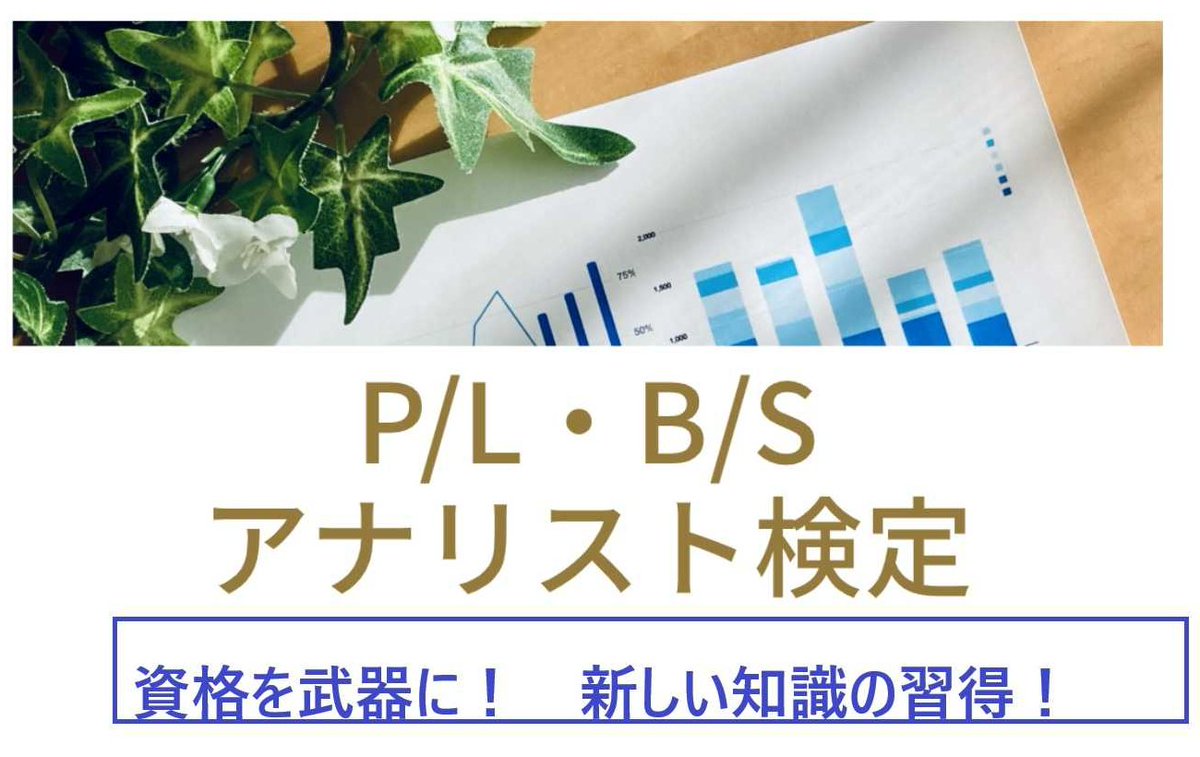 P/L・B/Sアナリスト検定（実務能力開発支援協会） (@plbs_up) / Posts / X