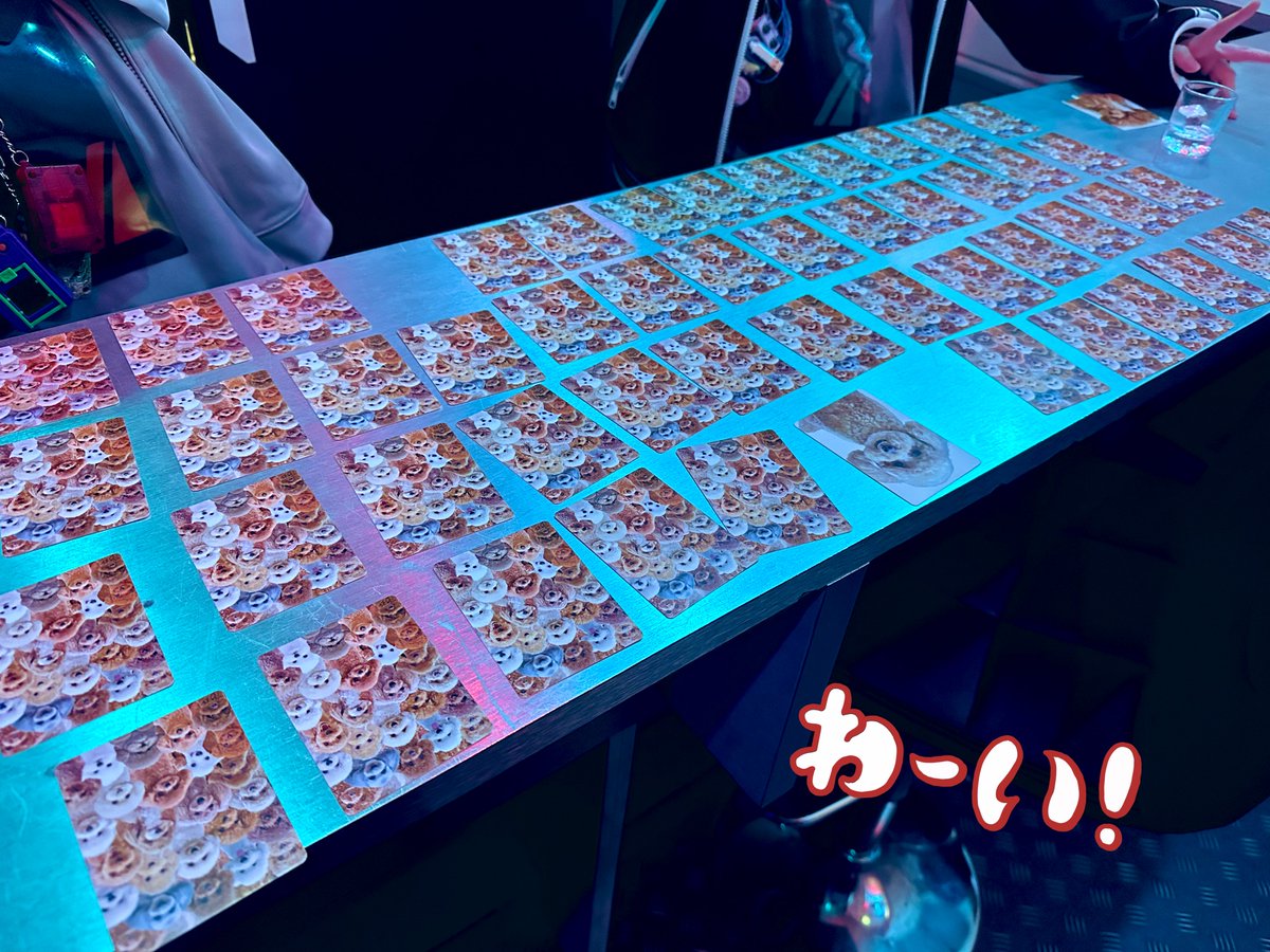 yuunyan_tears's tweet photo. トイプあわせ
#トイプあわせ
#lnlog https://t.co/QZkU4SMFvC
