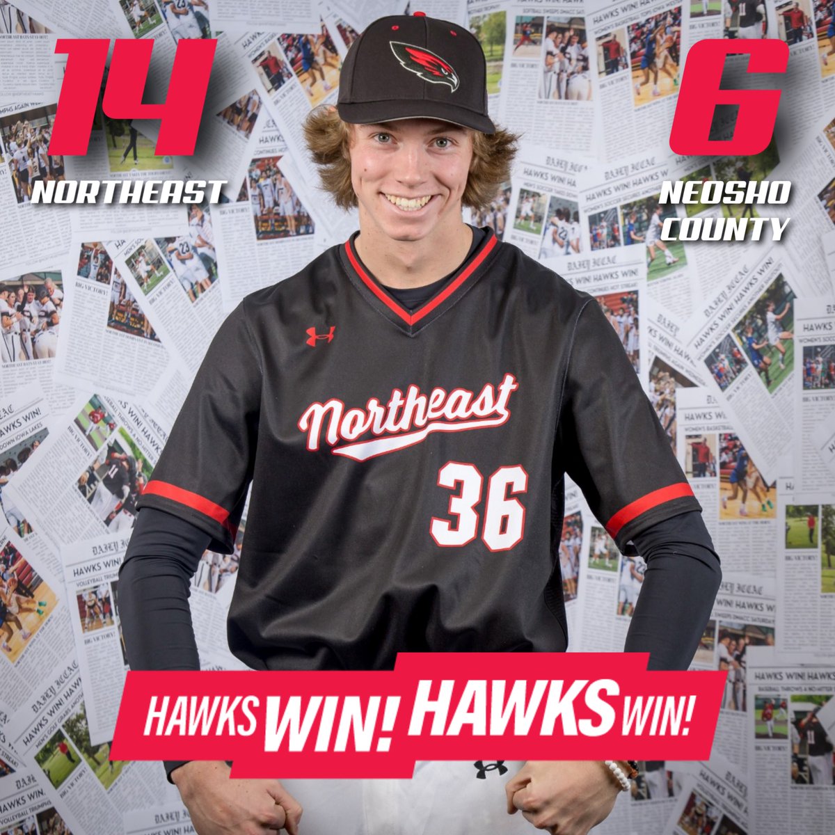 Northeast Baseball tweet media