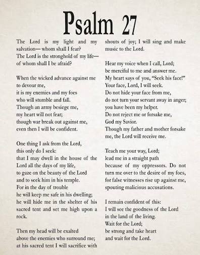 RubySpacek's tweet image. 💕🕊️