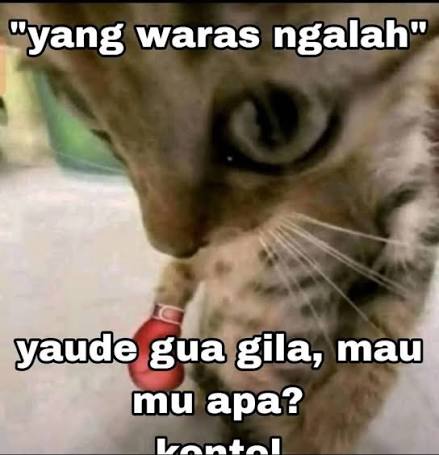 rifkizz1192's tweet photo. @week524 @manabiya3 Lu Siape Ngatur-ngatur??, 

SOK IYE LU , KOREA TOLOL. https://t.co/apAbODGNJT