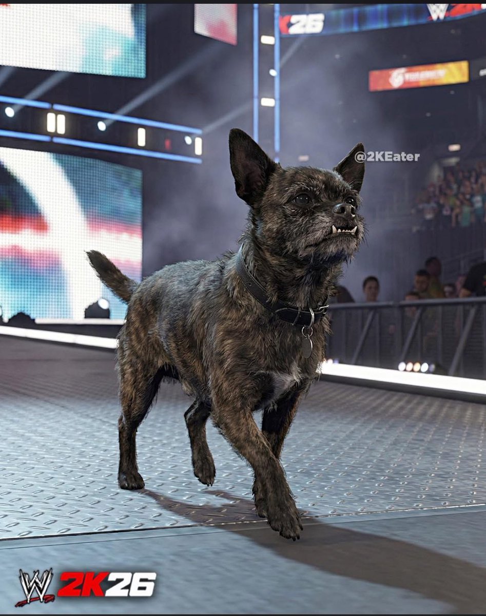 With <a href="/WWEgames/">#WWE2K26</a> rolling out another L #WWE2K26

No effort for these wrestler models LOL

 But they can make action figures, low definition models and now a Dog for a manager (AI Photo)