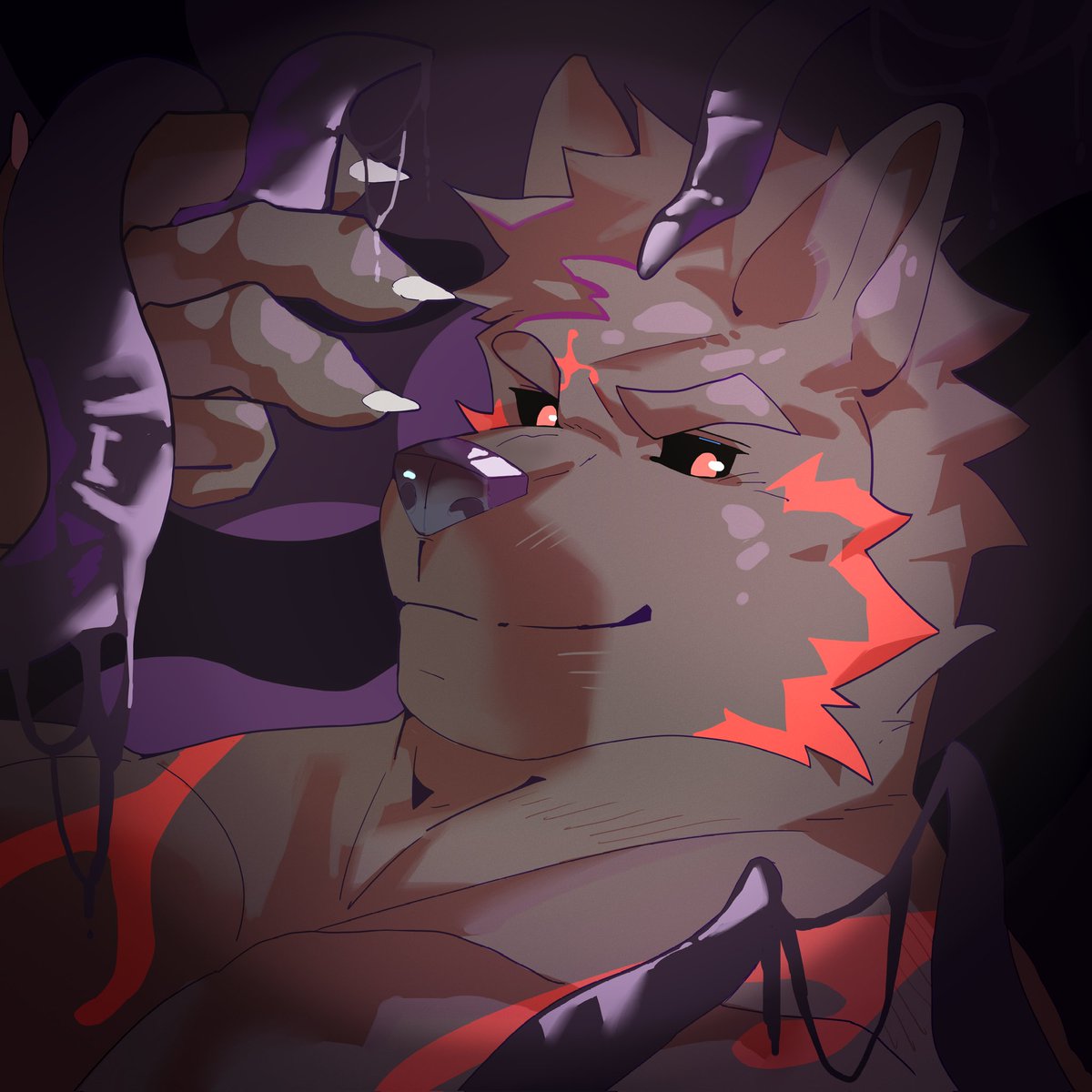 霍格 暮萨尔 tweet media