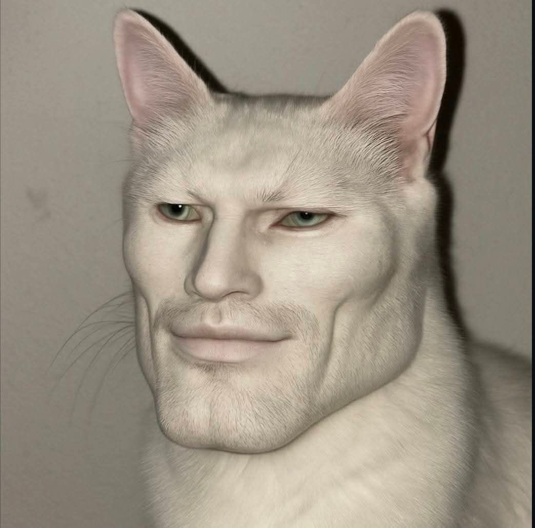 brook_silva1's tweet photo. JCKx2wJ8KoPbqnF3v13DD5VWuUbCer4PGcwedrbMpump new trend meme cat #CAT #ViralMeme  
#ThisWeekMemes  
#ReactionMeme  
#CryptoLaughs  
#AntiValentine  
#RandomViral  
#MemesEveryday  
#CryptoCommunity  
#MemeCoinFun  
#PumpHumor https://t.co/TAwa9stO1S
