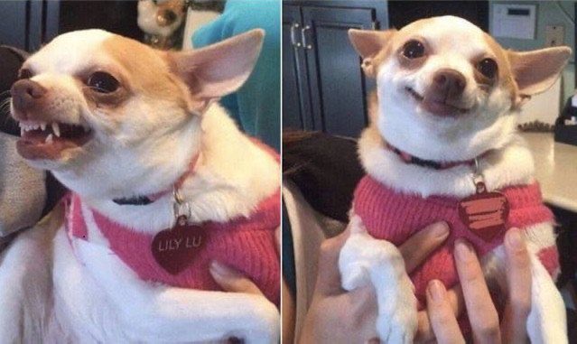 DeividVan tweet media